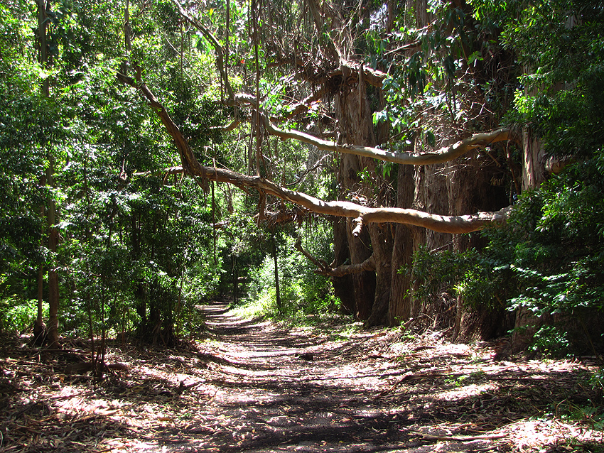 Reserva Nacional Federico Albert