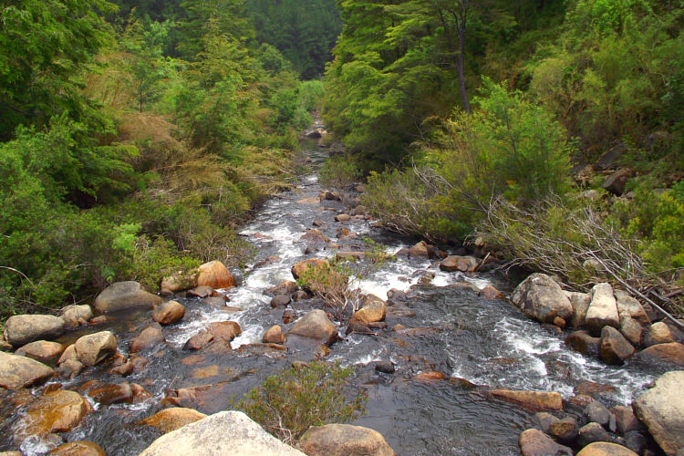 Reserva Nacional Los Ruiles